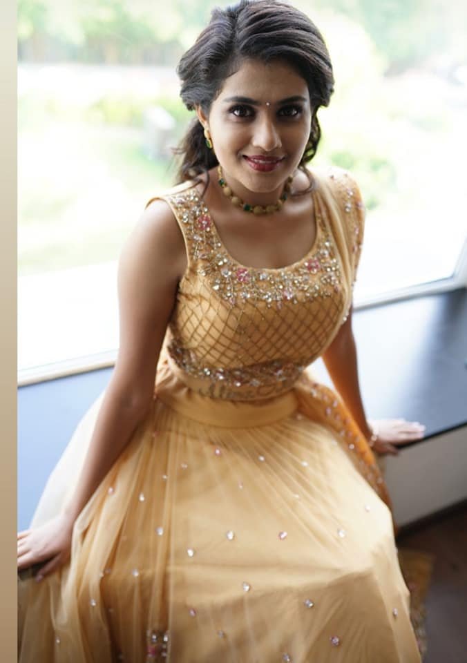 Actress-Alina-Padikkal-Engagement-Photos-4
