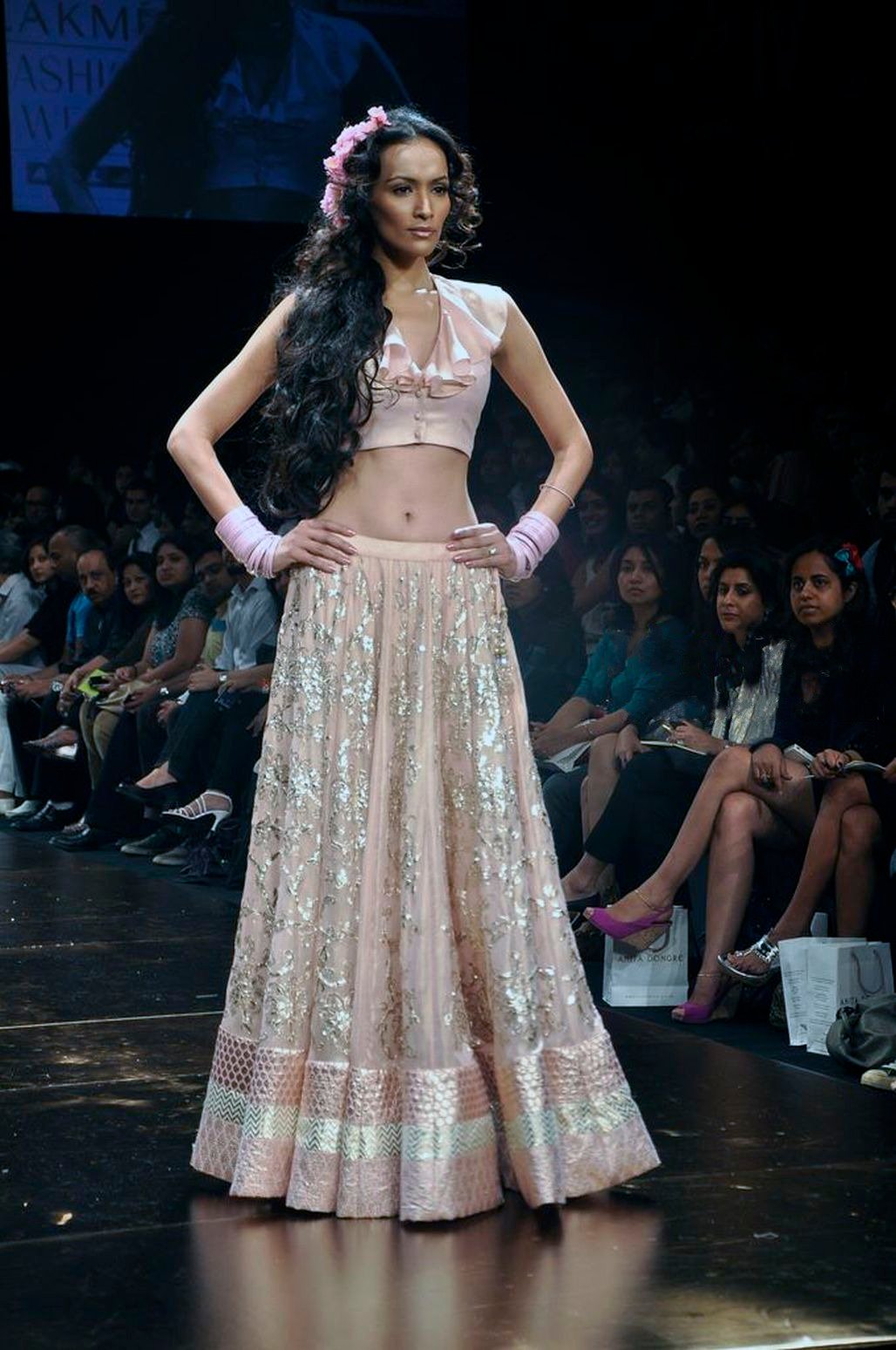 Panelled lehenga
