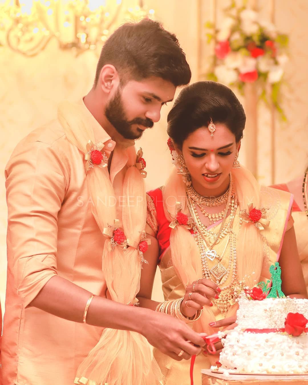 TikTok-Stars-Sheethal-Elza-And-Vinu-Vinesh-Wedding-Photos-6